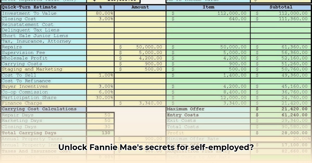 fannie-mae-cash-flow-analysis